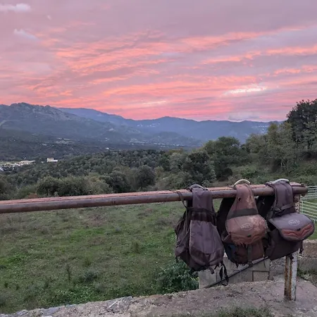 阿布杜住宿加早餐旅馆 农家乐 *