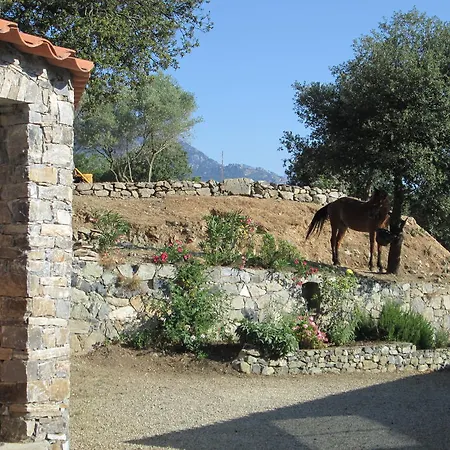 L'albadu