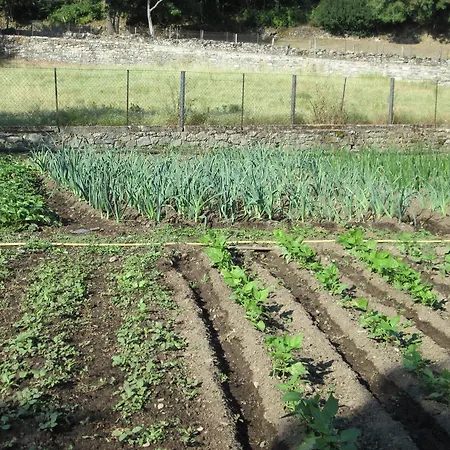 农家乐 阿布杜住宿加早餐旅馆