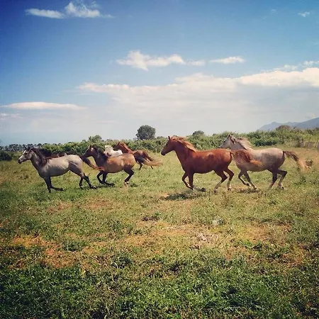 阿布杜住宿加早餐旅馆 农家乐