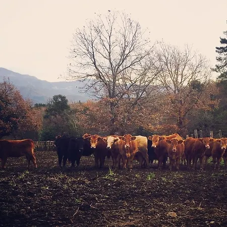 阿布杜住宿加早餐旅馆