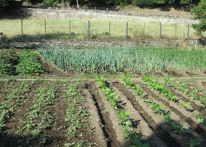 Agroturismo L'albadu