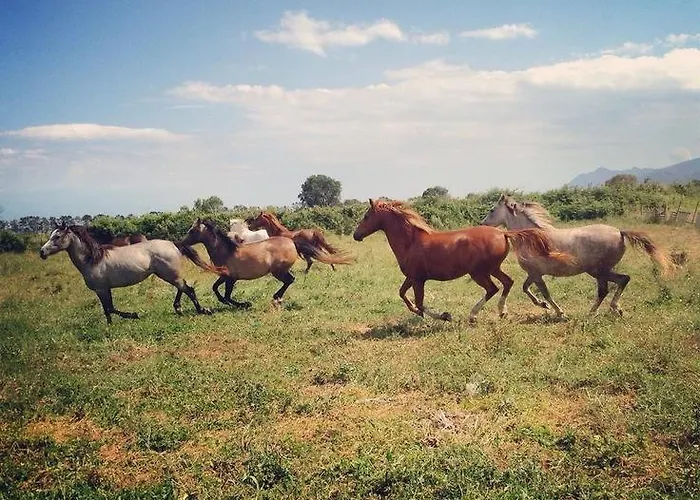 L'albadu Agroturismo